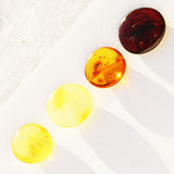 Polished Muliticolour Baltic Amber Discs Beads with holes
