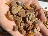 Unpolished Amber Beads Without Holes -Butterscotch