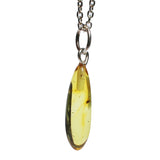 Lemon Baltic Amber With Insect Inclusion Pendant