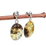 Baltic Amber Oval Studs - with sterling silver fittings.