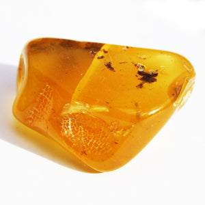 Baltic Amber Piece 71