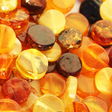 Polished Muliticolour Baltic Amber Tablet Beads with holes