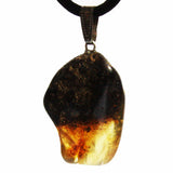 Baltic Amber Talisman 49