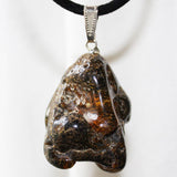 Baltic Amber Talisman 4