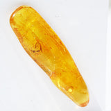 Baltic Amber insect inclusion 58