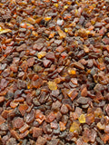 Unpolished Amber Beads Without Holes - Cognac