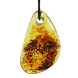 Honey or Grey Polished Baltic Amber Amulet