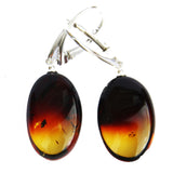 Beautiful Baltic Amber Earrings - RAINBOW