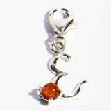 Amber Alphabet Initial Charms