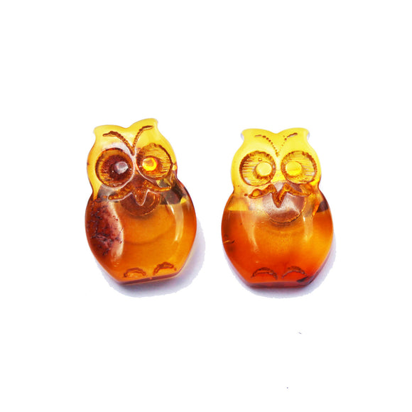 Honey Amber Studs - Owls