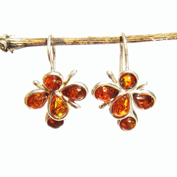 Honey Baltic Amber Earrings