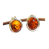 Oval Baltic Amber Studs