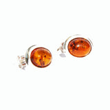 Oval Baltic Amber Studs