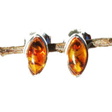 Little Green or Honey Baltic Amber Silver Studs