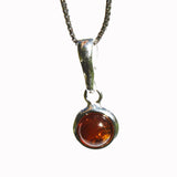 Honey Baltic Amber Pendant - Little Bead