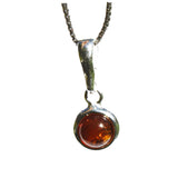 Honey Baltic Amber Pendant - Little Bead