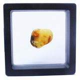 Polished Natural Amber (black box)