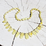 Baltic Amber Necklace - Carnival