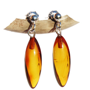 Baltic Amber Drop Stud Earrings