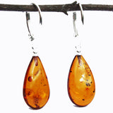 Large Baltic Amber Earrings Teardrops