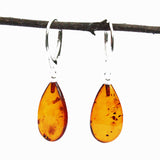 Large Baltic Amber Earrings Teardrops