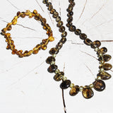 Baltic Amber Necklace - Carnival