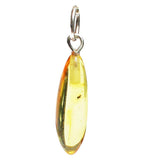 Lemon Baltic Amber With Insect Inclusion Pendant