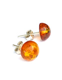 Baltic Amber Studs - Circles