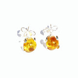 Honey Baltic Amber Stud Earrings