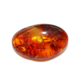 Baltic Amber Buttons